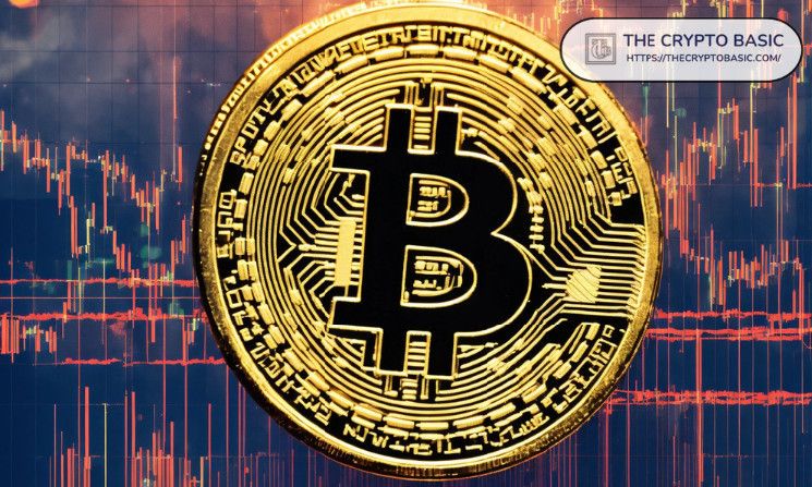 Analista Principal Advierte de una Caída del 25% en Bitcoin Antes de que el "FOMO Generacional" Lleve al BTC por Encima de $100K: ¡Descubre Más! - Cripto Boom