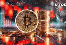 ¡Bitcoin (BTC) a $90,000 en Peligro! Descubre Qué Sucede Ahora - Cripto Boom