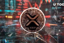 XRP Sigue Bajando un 69% tras Recientes Ganancias: Descubre Más Aquí - Cripto Boom