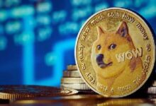 DOGE Sube un 26% Esta Semana; ¿Volverá a Alcanzar la Barrera de $0.27? Descúbrelo Ahora - Cripto Boom