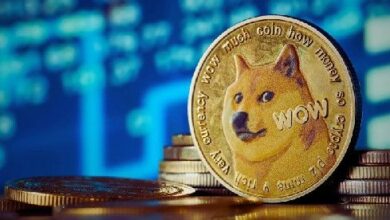 DOGE Sube un 26% Esta Semana; ¿Volverá a Alcanzar la Barrera de $0.27? Descúbrelo Ahora - Cripto Boom