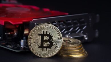 Bitcoin alcanza la mitad del valor de Nvidia en el mercado: ¿Qué está ocurriendo? Descúbrelo ahora. - Cripto Boom