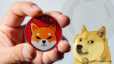 Superciclo de Memecoins: Descubre por qué los analistas apuntan a $1.17 como el próximo movimiento de Dogecoin - Cripto Boom