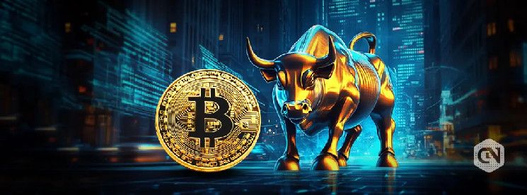 Bitcoin (BTC) se Aproxima a los $2 Billones de Capitalización de Mercado tras un Nuevo Máximo Histórico de $89,000 ¡Descubre Más! - Cripto Boom