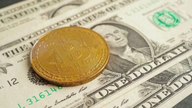 Predicción de Precio de Bitcoin: ¿Cómo la Victoria de Trump Podría Impulsar al BTC a $100K? Descúbrelo Aquí - Cripto Boom