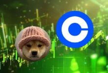 Precio de Dogwifhat Aumenta un 40% tras Anuncio de Listado en Conbase: ¡Descubre Más! - Cripto Boom