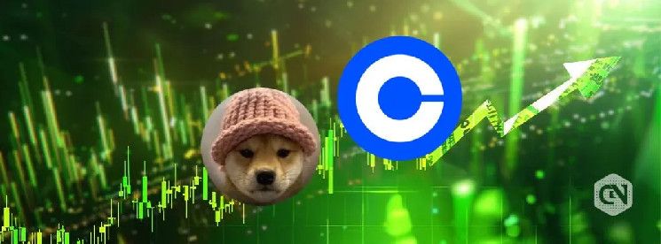 Precio de Dogwifhat Aumenta un 40% tras Anuncio de Listado en Conbase: ¡Descubre Más! - Cripto Boom