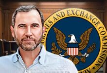 ¡El CEO de Ripple critica la guerra de Biden contra las criptomonedas! ¿RLUSD alcanzará los $180 mil millones? - Cripto Boom