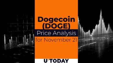 Predicción del Precio de DOGE para el 21 de Noviembre: ¡Descubre el Futuro del Cripto! - Cripto Boom