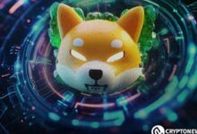 Pronóstico de Precio de Shiba Inu: ¡Aprovecha ahora un Aumento del 40% que Podría Estar Cerca! - Cripto Boom