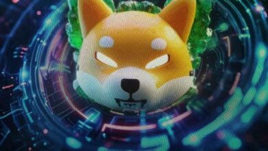 Pronóstico de Precio de Shiba Inu: ¡Aprovecha ahora un Aumento del 40% que Podría Estar Cerca! - Cripto Boom