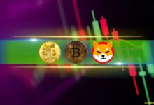 SHIB y DOGE Desafían el Sentimiento General; ¡BTC se Recupera del Descenso por Debajo de $67K! (Análisis de Mercado) - Cripto Boom