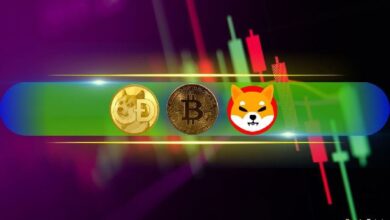 SHIB y DOGE Desafían el Sentimiento General; ¡BTC se Recupera del Descenso por Debajo de $67K! (Análisis de Mercado) - Cripto Boom