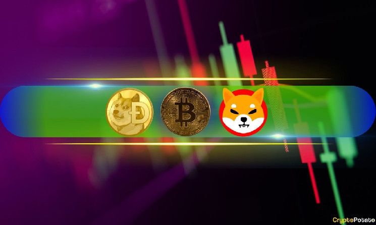 SHIB y DOGE Desafían el Sentimiento General; ¡BTC se Recupera del Descenso por Debajo de $67K! (Análisis de Mercado) - Cripto Boom