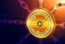 ¿Puede el Precio de Cardano Alcanzar los $3.11 Antes de Finalizar 2024 en su Racha Alcista? ¡Descúbrelo! - Cripto Boom