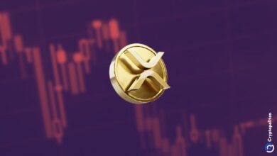 XRP pierde impulso y cae un 14% tras alcanzar un máximo histórico: ¿Es el momento de vender? - Cripto Boom