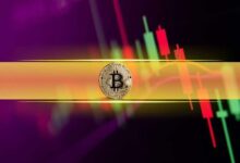 Bitcoin y Altcoins Se Mantienen Estables Antes del Día de Elecciones en EE. UU. ¡Descubre el Panorama del Mercado! - Cripto Boom