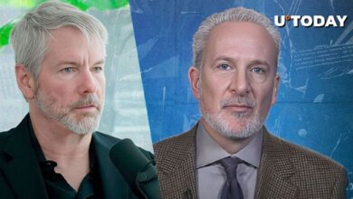 Peter Schiff Cuestiona las Afirmaciones de Michael Saylor sobre Bitcoin como Energía Digital: Descubre el Debate - Cripto Boom