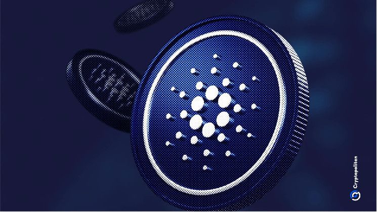 Cardano (ADA) se desvincula del grupo de altcoins, acercándose a su máximo de 8 meses: ¡Descubre por qué! - Cripto Boom