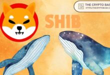 Ballenas Transfieren 1,675,841,120,949 Shiba Inu a Coinbase de un Golpe: Descubre lo que Sabemos - Cripto Boom