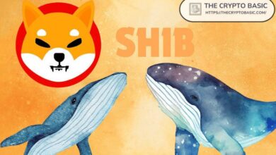 Ballenas Transfieren 1,675,841,120,949 Shiba Inu a Coinbase de un Golpe: Descubre lo que Sabemos - Cripto Boom