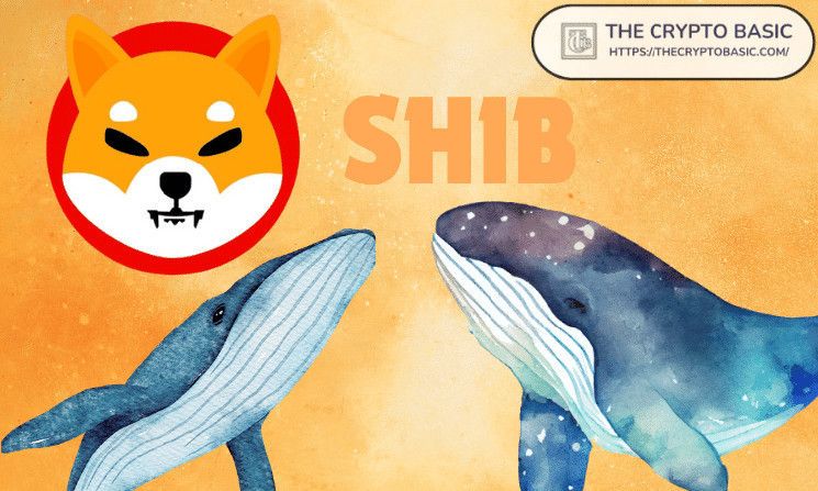 Ballenas Transfieren 1,675,841,120,949 Shiba Inu a Coinbase de un Golpe: Descubre lo que Sabemos - Cripto Boom