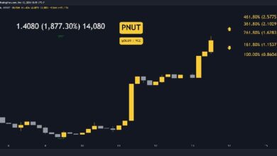 Predicción del Precio de Peanut (PNUT) para Esta Semana: ¡Descubre las Tendencias Aquí! - Cripto Boom