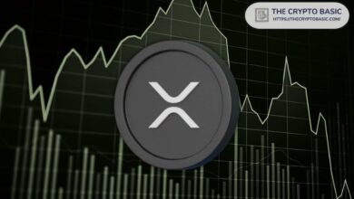 "¿Deberían preocupar los titulares de XRP? Descubre la próxima dirección de XRP según un analista" - Cripto Boom