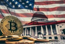 Ballena descarta $4M en apuestas relacionadas con victoria de Trump en Polymarket ante incertidumbre electoral: Descubre los detalles - Cripto Boom