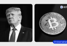 El Efecto Trump: ¿Cómo un Segundo Mandato Podría Moldear el Futuro de las Criptomonedas? ¡Descúbrelo! - Cripto Boom