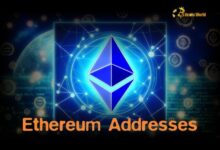 El 79.92% de las Direcciones de Ethereum Están en Ganancia: Descubre Más - Cripto Boom