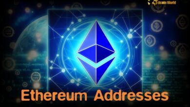 El 79.92% de las Direcciones de Ethereum Están en Ganancia: Descubre Más - Cripto Boom