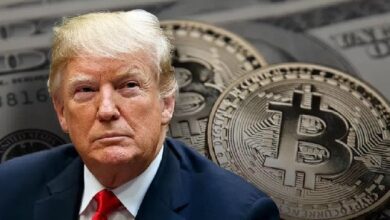 ¿Qué Cambiará para Bitcoin y Criptomonedas Tras la Presidencia de Trump? Descubre lo que Dicen los Expertos de Wall Street - Cripto Boom