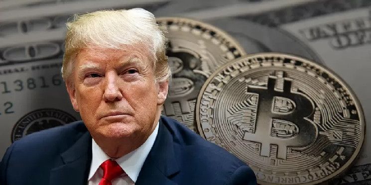 ¿Qué Cambiará para Bitcoin y Criptomonedas Tras la Presidencia de Trump? Descubre lo que Dicen los Expertos de Wall Street - Cripto Boom