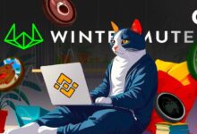 El 64% de los Memecoins de Wintermute se Listan en Binance: ¡Descubre Cómo! - Cripto Boom