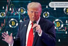 Medios Chinos Destacan la Estrategia de Donald Trump para Crear una Reserva de Bitcoin en EE.UU. ¡Descubre Más! - Cripto Boom