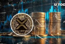 Vela Extraña del Precio de XRP: ¡Descubre Qué Está Sucediendo! - Cripto Boom