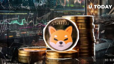 ¿Son Suficientes 274 Trillones de Shiba Inu (SHIB)? Descubre el Giro Crucial del Precio - Cripto Boom