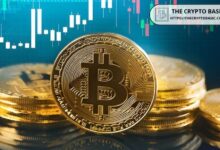 Analista Predice que Bitcoin Podría Aumentar un 150% a $170K tras Alcanzar los $100K - ¡Descubre Cómo! - Cripto Boom