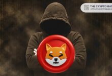 Líder de Shiba Inu Afirma que Quemar el 99% del Suministro de SHIB es Posible: Descubre Cómo - Cripto Boom