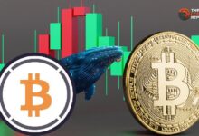 Ballenas Venden WBTC para Ganancias ante el Aumento de BTC – ¡Descubre Más! - Cripto Boom