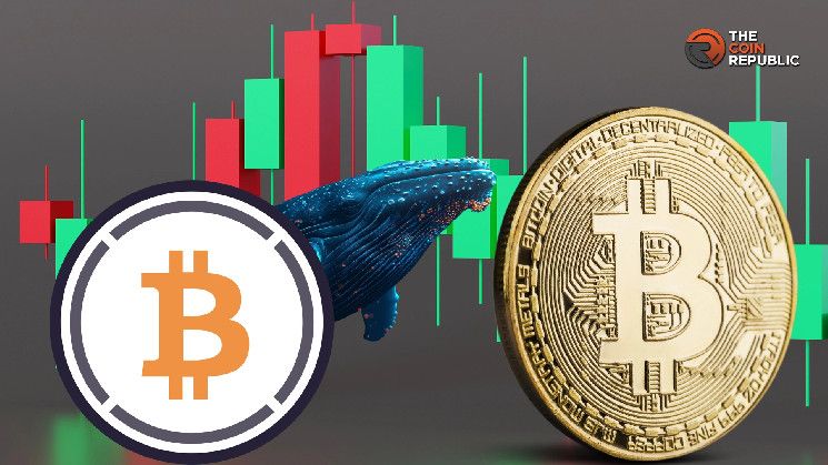 Ballenas Venden WBTC para Ganancias ante el Aumento de BTC – ¡Descubre Más! - Cripto Boom