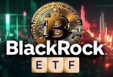 BlackRock Aumenta su Inversión en el ETF de Bitcoin IBIT a $77M - Descubre Más - Cripto Boom