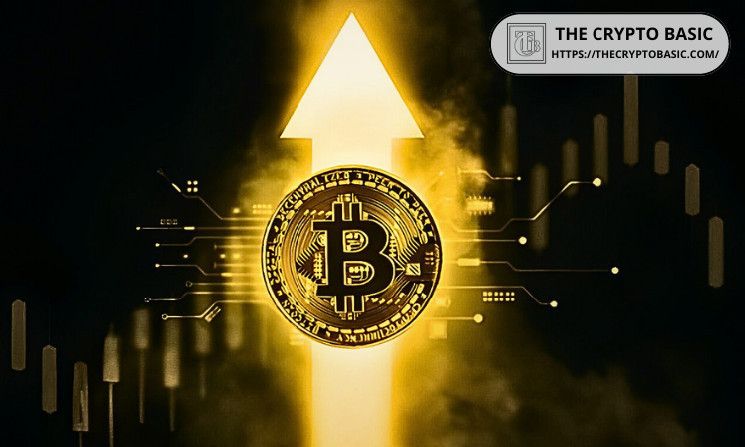 El CEO de CryptoQuant Describe Por Qué el Mercado Alcista de Bitcoin Apenas Comienza: ¡Descubre las Claves Tras el Nuevo Máximo de $98,300! - Cripto Boom