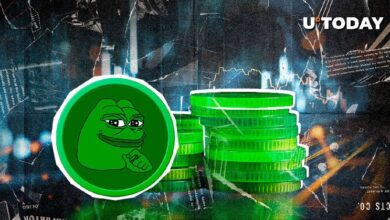 El RSI de PEPE Indica una Reversión Inminente: Descubre Más Aquí - Cripto Boom