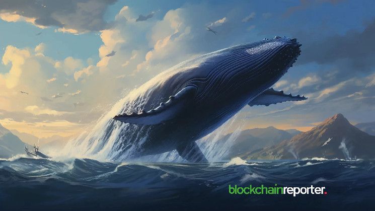 Ballena Ejecuta Estrategia de Apalancamiento en Bitcoin de $27 Millones con Préstamos Recursivos en Aave - Descubre Cómo lo Hizo - Cripto Boom