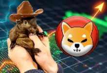 PNUT se desploma un 30%, Shiba Inu (SHIB) cae un 4.6% en 7 días: ¡Descubre por qué! - Cripto Boom