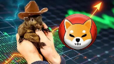 PNUT se desploma un 30%, Shiba Inu (SHIB) cae un 4.6% en 7 días: ¡Descubre por qué! - Cripto Boom