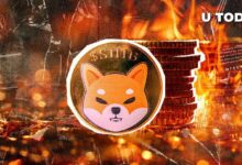 ¡Tasa de Quema de Shiba Inu (SHIB) Se Dispara un 3,674% en Medio del Resurgimiento de su Precio! Descubre Más - Cripto Boom