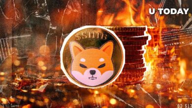 ¡Tasa de Quema de Shiba Inu (SHIB) Se Dispara un 3,674% en Medio del Resurgimiento de su Precio! Descubre Más - Cripto Boom